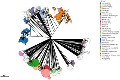 Egg-associated Salmonella enterica serovar Enteritidis: comparative genomics unveils phylogenetic links, virulence potential, and antimicrobial resistance traits